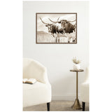 Sepia-toned framed canvas print of two Texas Longhorn cattle with prominent curved horns standing in a grassy pasture, displayed on a white wall above a brass side table.