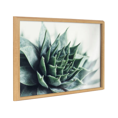 Blake Radical Succulent framed printed glass by Emiko and Mark Franzen showing a close-up of succulent plant printed on glass with modern black frame
