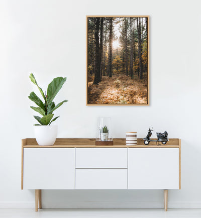 Sylvie A Walk in the Woods Framed Canvas by Patricia Hasz