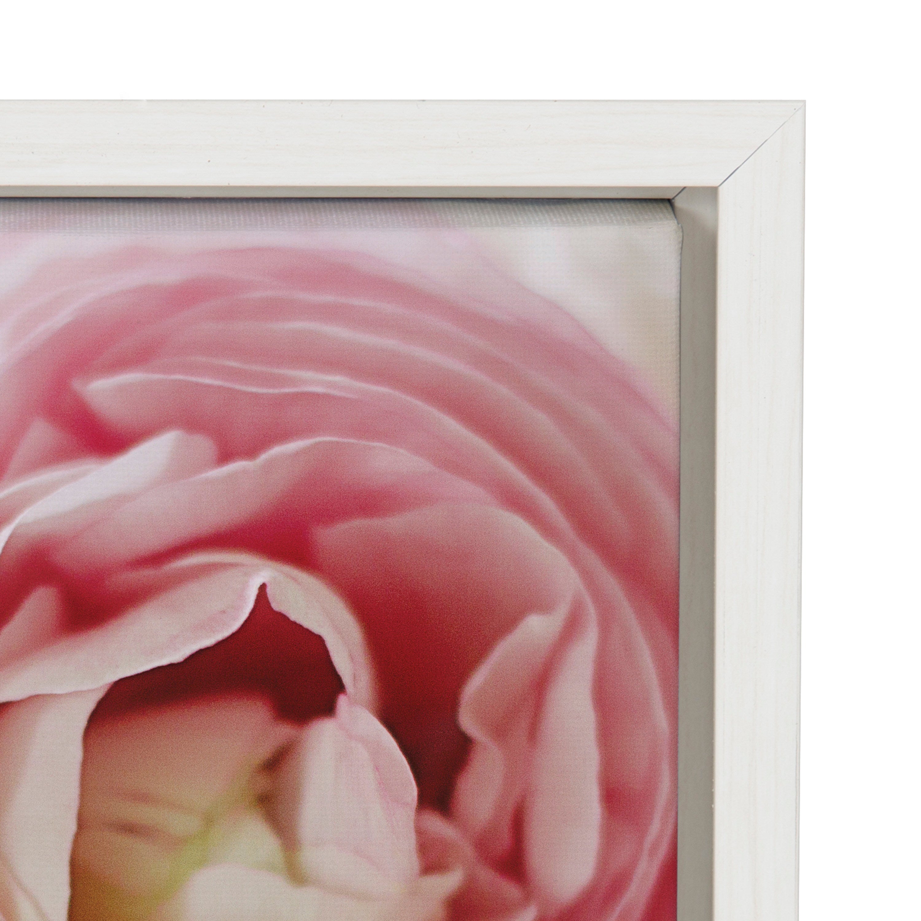 Sylvie Pink Dreams Framed Canvas by kateandlaurel - product image 3 for Resin Society