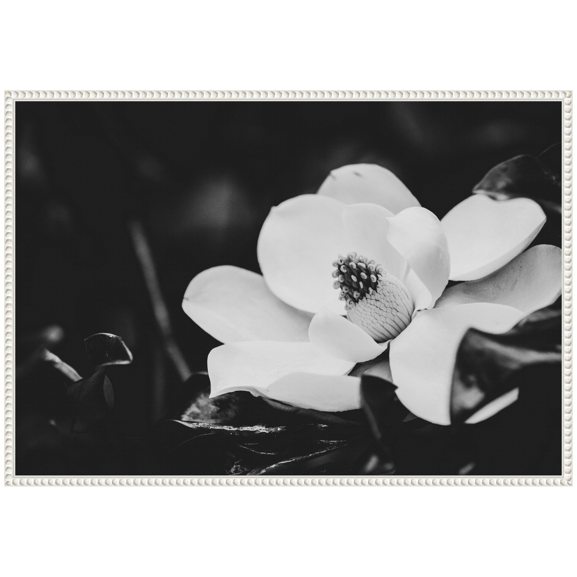 Sylvie Magnolias Framed Canvas by Alicia Abla