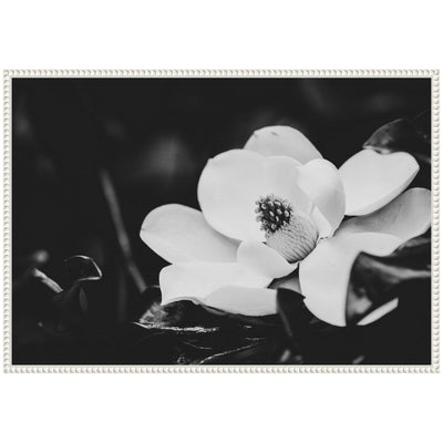Sylvie Magnolias Framed Canvas by Alicia Abla