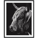 Black and white close-up portrait of a Scottish Highland cow's head with long shaggy hair and curved horns against a dark background, framed in black.