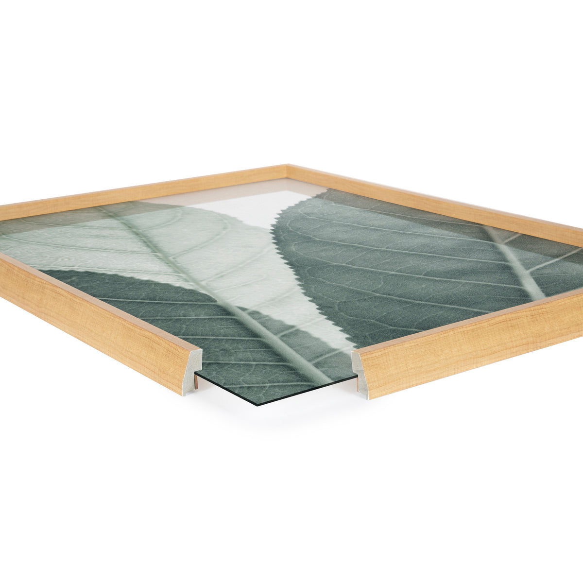 Blake Modern Green Leaf Botanical Framed Printed Glass by The Creative by kateandlaurel - product image 3 for Resin Society