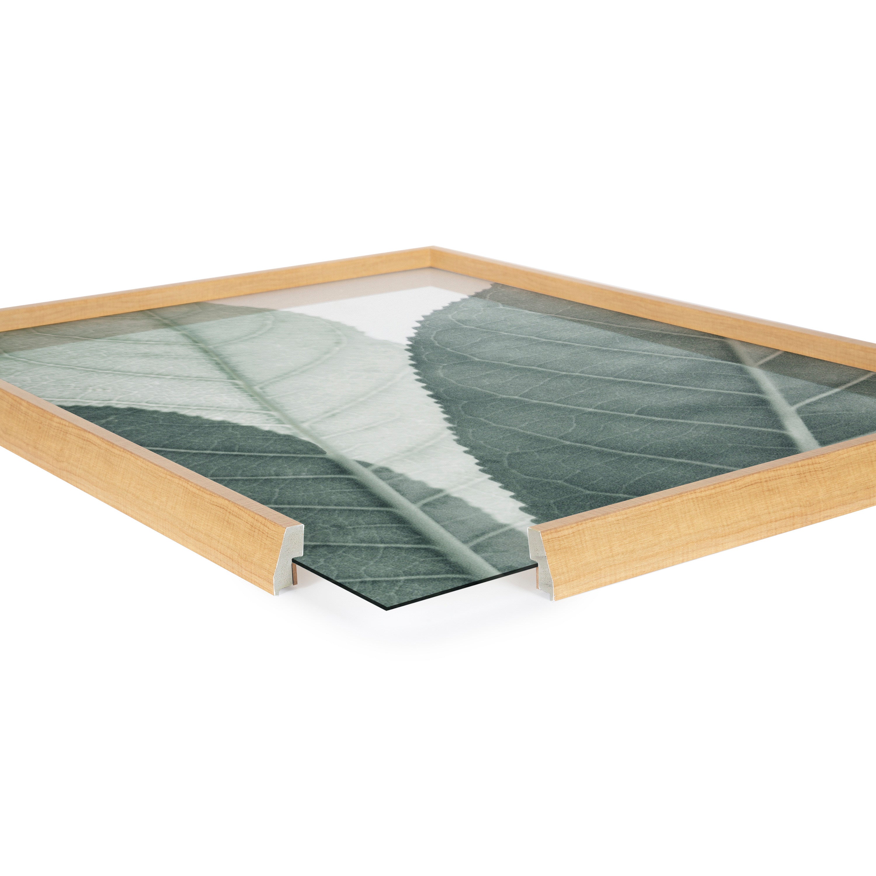 Blake Modern Green Leaf Botanical Framed Printed Glass by The Creative by kateandlaurel - product image 3 for Resin Society