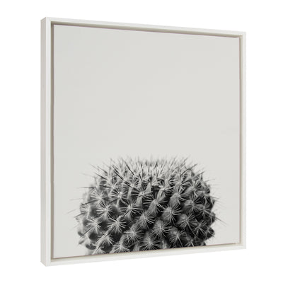 Sylvie Haze Succulent Cactus Short Framed Canvas