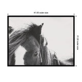 Black and white close-up of a horse's head showing its eye, mane, and a white marking on the forehead, with a blurred natural background.