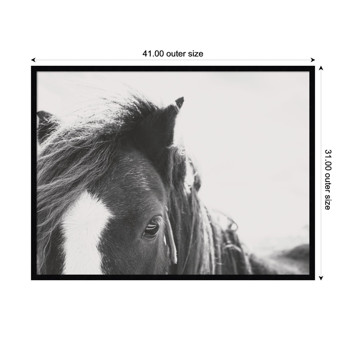 Black and white close-up of a horse's head showing its eye, mane, and a white marking on the forehead, with a blurred natural background.