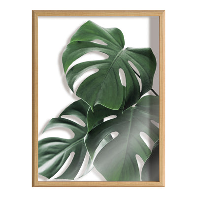 Blake Monstera leaves Framed Printed Glass by Amy Peterson Art Studio by kateandlaurel - product image 2 for Resin Society