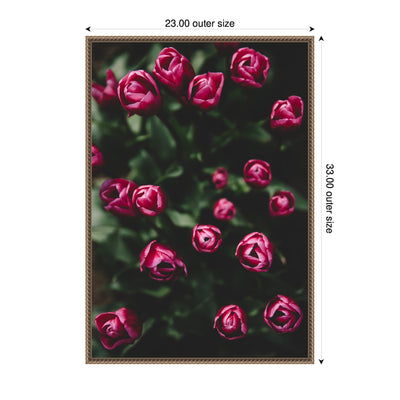 Sylvie Moody Dark Pink Tulips in Bloom Framed Canvas by Patricia Hasz