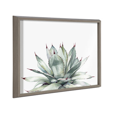 Blake Parrys Agave Framed Printed Glass by kateandlaurel - product image 13 for Resin Society