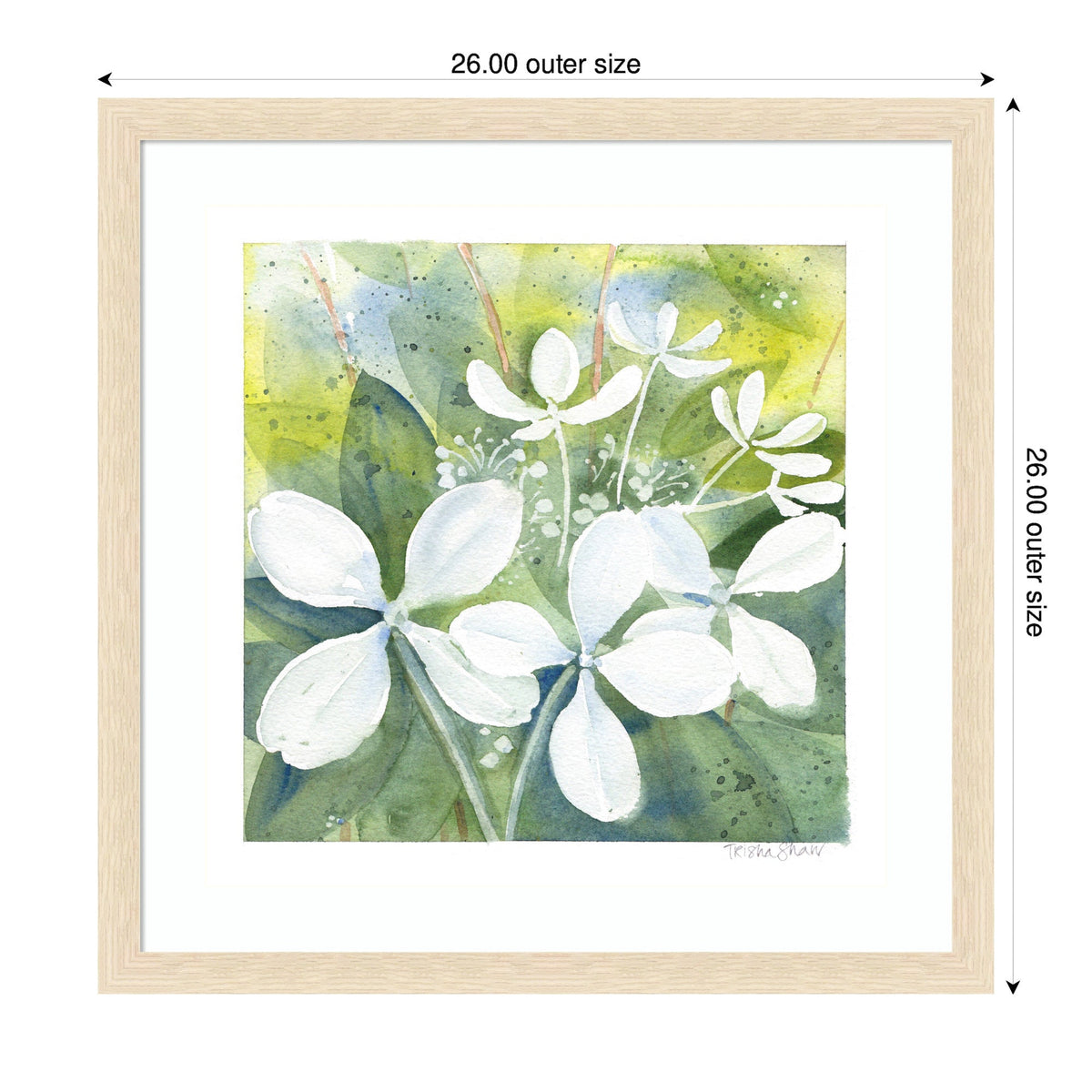 Watercolor painting of white phantom hydrangea flowers with delicate white petals against a leafy green and yellow background, framed in light wood.