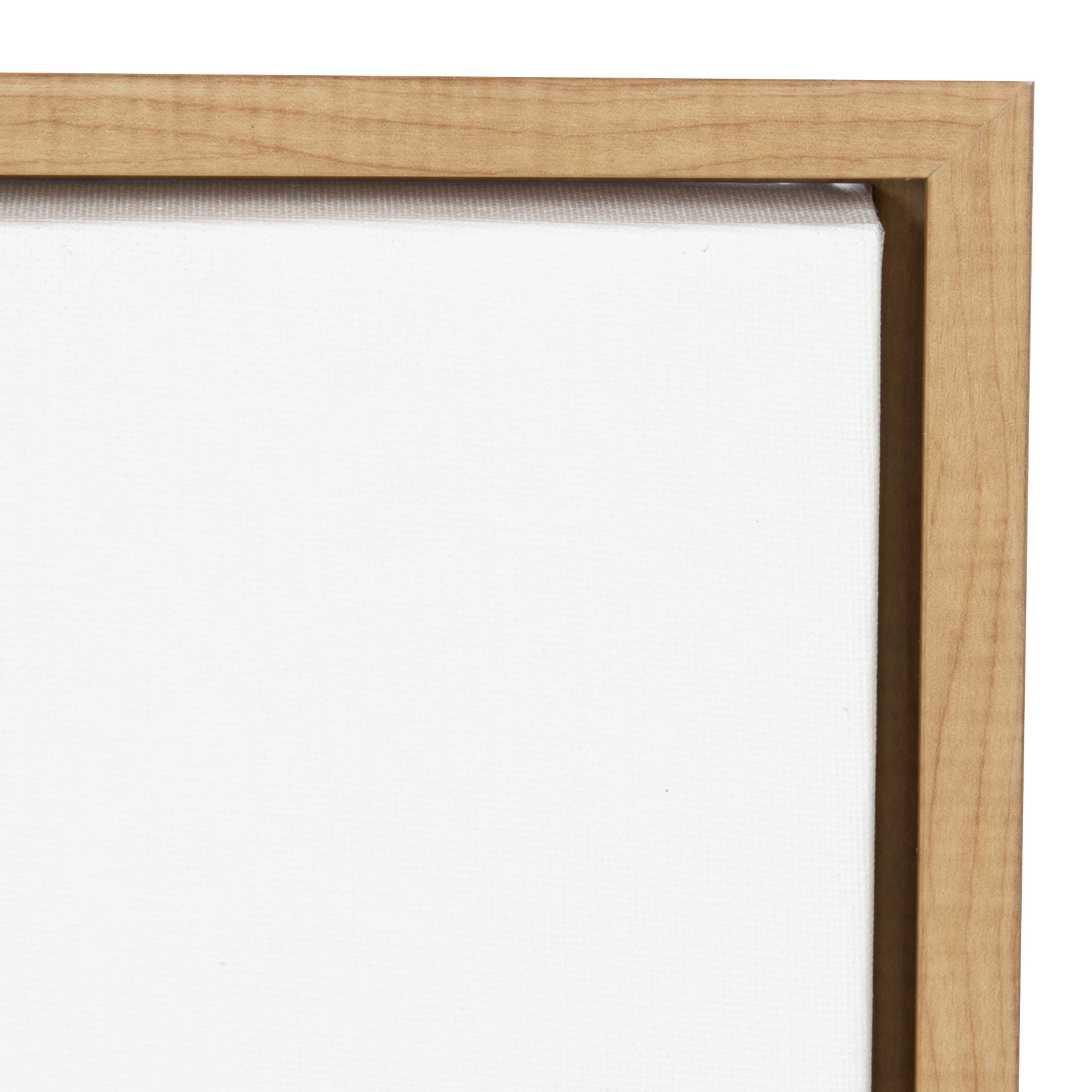 Sylvie Alpaca Framed Canvas by Simon Te of Tai Prints