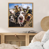 Square framed photo of nine eager dogs with playful expressions, captured using a fisheye lens, hanging above a wooden cabinet and cozy bed setting.