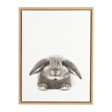 Framed canvas featuring a detailed drawing of a fluffy gray rabbit with long ears resting against a white background.