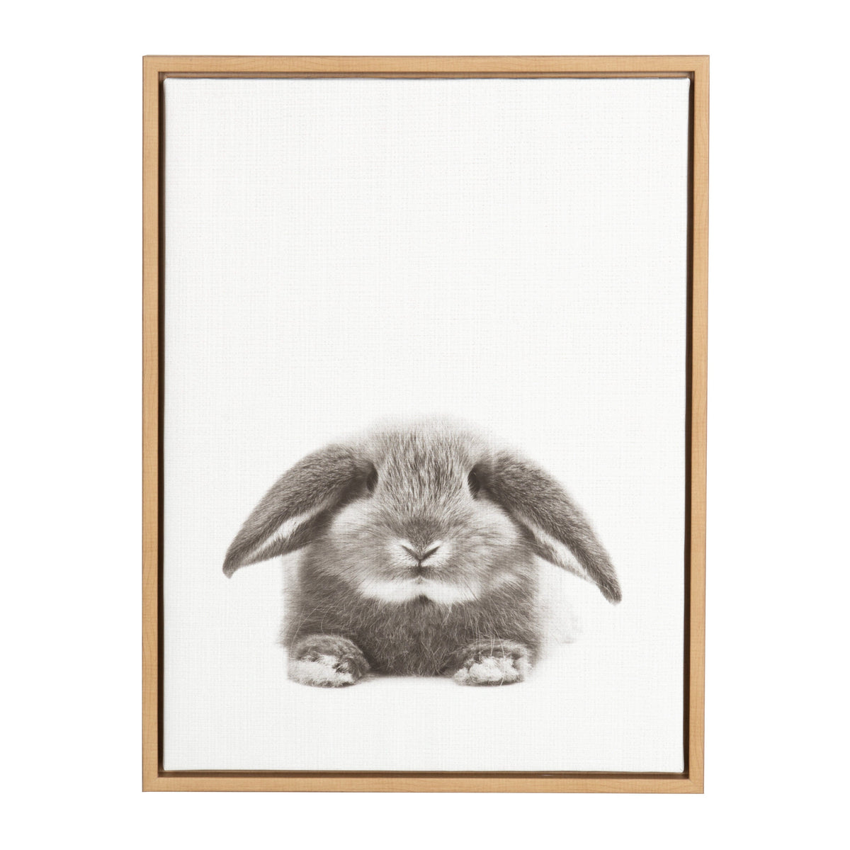 Framed canvas featuring a detailed drawing of a fluffy gray rabbit with long ears resting against a white background.