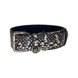 Black and white snake-patterned dog collar with silver buckle and D-ring, shown in a curved side view on a white background.