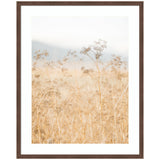 Framed photograph of delicate wild fennel plants with light brown stems and umbels, set against a soft, blurred background in pale beige and blue tones.