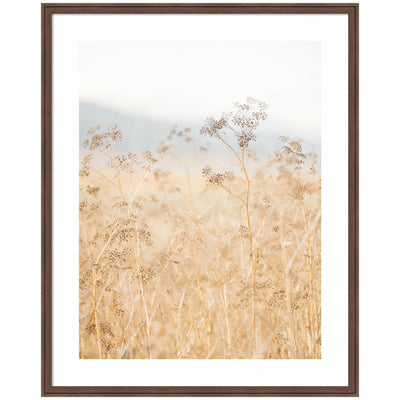 Framed Art Wild Fennel by Crystal Lynn Collins