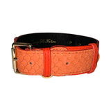 Wide orange textured collar featuring a scale-like pattern with bright orange trim and gold-tone buckle on black leather interior.