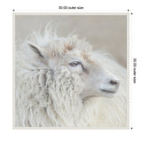 Close-up profile of a fluffy white sheep with curly wool and a calm expression against a soft neutral background.