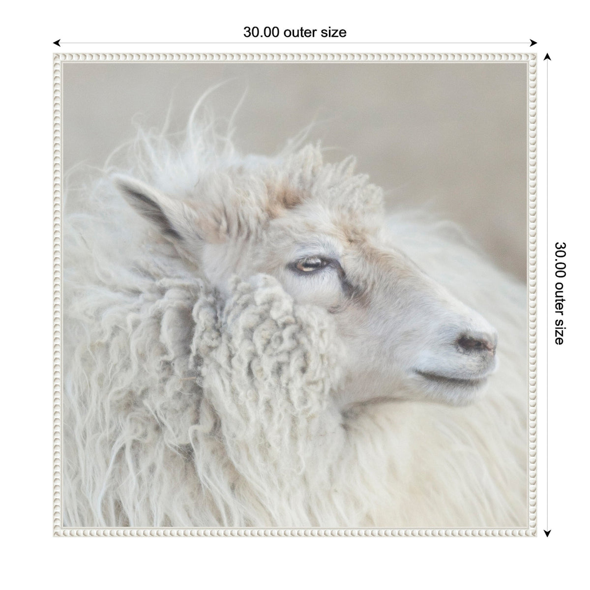 Close-up profile of a fluffy white sheep with curly wool and a calm expression against a soft neutral background.