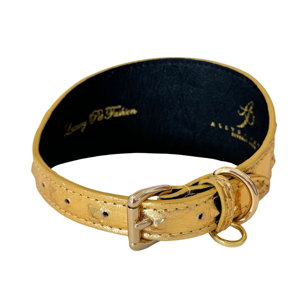 Gold embossed Italian leather collar with stud accents, silver buckle, and D-rings, shown partially curved against a white background.