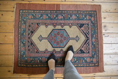 3x4 Antique Camel Hair Serab Square Rug by Old New House® - product image 2 for Resin Society