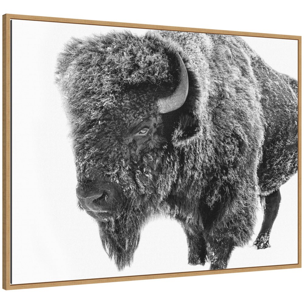 Framed canvas wall art showing a black and white photo of a bison standing in snowy terrain with visible woodgrain frame