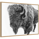 Framed canvas wall art showing a black and white photo of a bison standing in snowy terrain with visible woodgrain frame