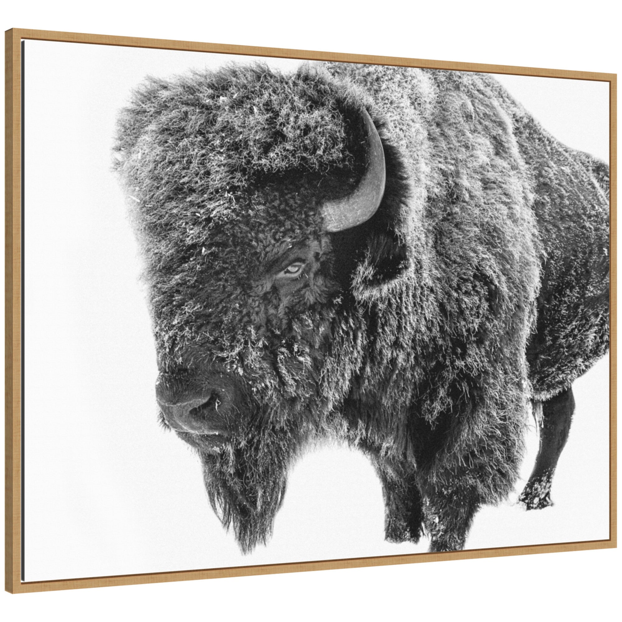 Framed canvas wall art showing a black and white photo of a bison standing in snowy terrain with visible woodgrain frame