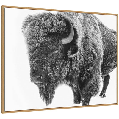 Framed canvas wall art showing a black and white photo of a bison standing in snowy terrain with visible woodgrain frame