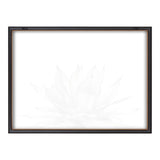 Blake Parrys Agave Framed Printed Glass by kateandlaurel - product image 10 for Resin Society