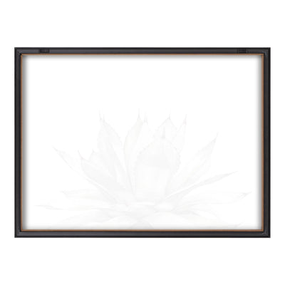 Blake Parrys Agave Framed Printed Glass by kateandlaurel - product image 10 for Resin Society
