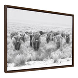 Sylvie Herd of Highland Cows Black and White Framed Canvas by The