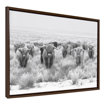 Sylvie Herd of Highland Cows Black and White Framed Canvas by The