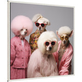 Four dogs dressed in vintage-style clothing with elaborate fluffy hairstyles and round sunglasses in pink, yellow, and gold tones against a plain gray background.