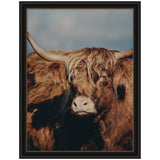 Close-up of a Highland cow with shaggy reddish-brown fur and wide curved horns against a muted blue sky background, framed in a black with gold beaded trim.