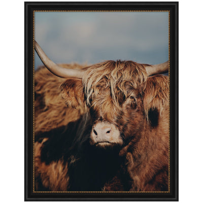 Highland Cow No.
5 by Laura Evans Framed Wall Art Print