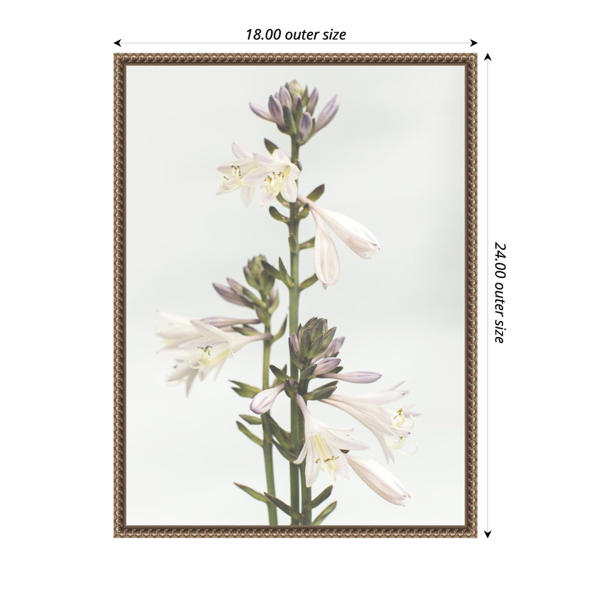 Vertical canvas print featuring a close-up of a hosta plant stem with white and pale purple flowers, framed in an ornate bronze border.