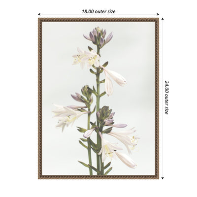 Sylvie Hosta Framed Canvas by Alicia Abla