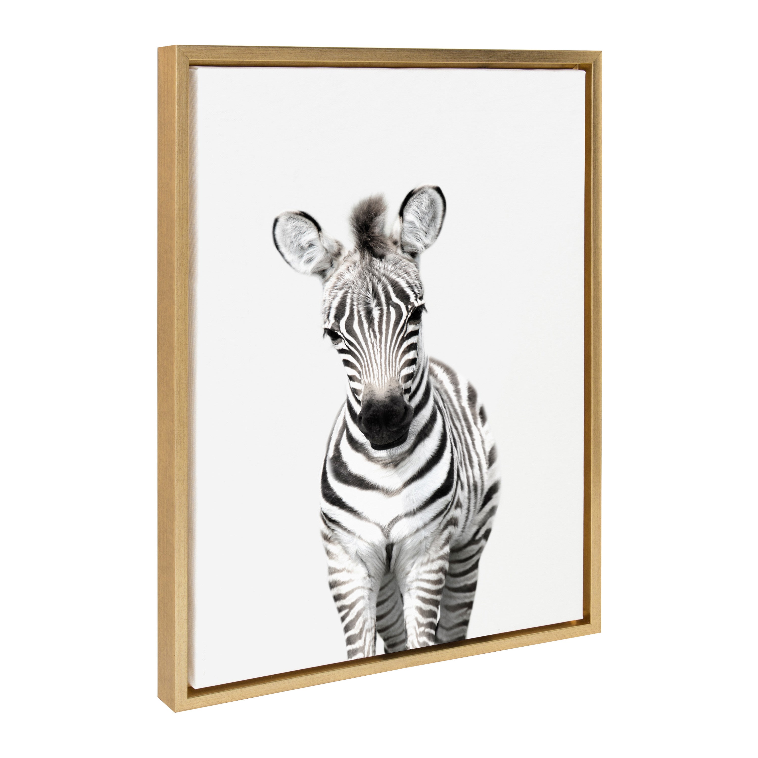 Sylvie Baby Zebra Framed Canvas by Amy Peterson by kateandlaurel - product image 9 for Resin Society
