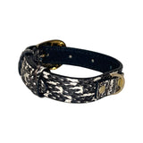 Black and white textured snake-patterned pet collar with a gold oval buckle and gold rivet detail, shown at an angle against a white background.