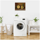 Framed 1884 still life painting of two cut lemons with leaves, hanging above a white front-load washing machine in a bright laundry room.