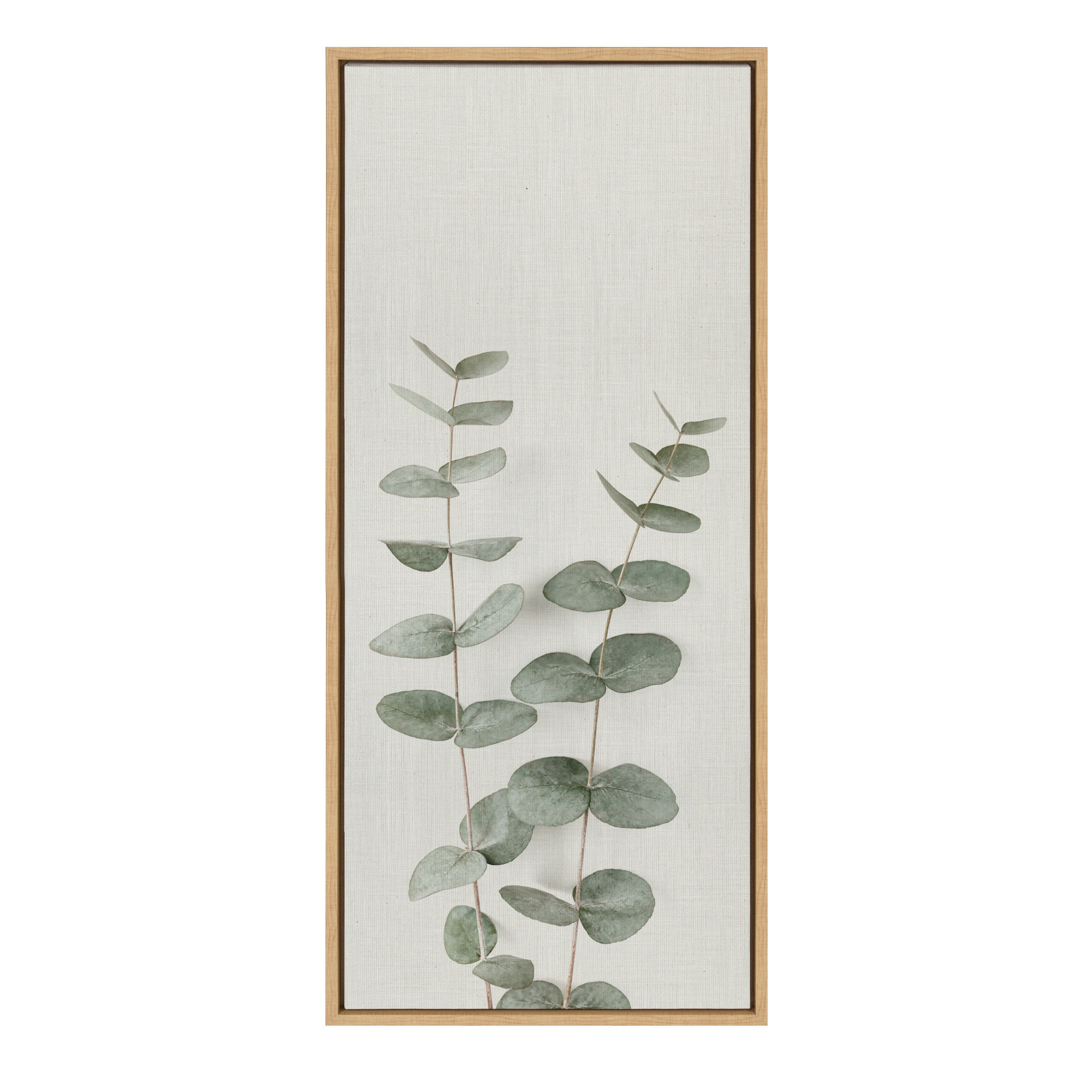 Sylvie Eucalyptus Botanical II Framed Canvas by The Creative Bunch