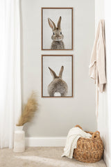 Two vertically aligned framed canvas prints of a brown bunny on a light textured background; the top shows the bunny's face and ears, the bottom shows its back and tail.