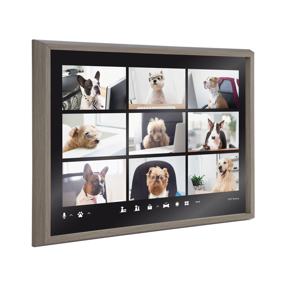 Blake Video Chat Dogs Framed Printed Glass by The Creative Bunch Studio by kateandlaurel - main product image for Resin Society