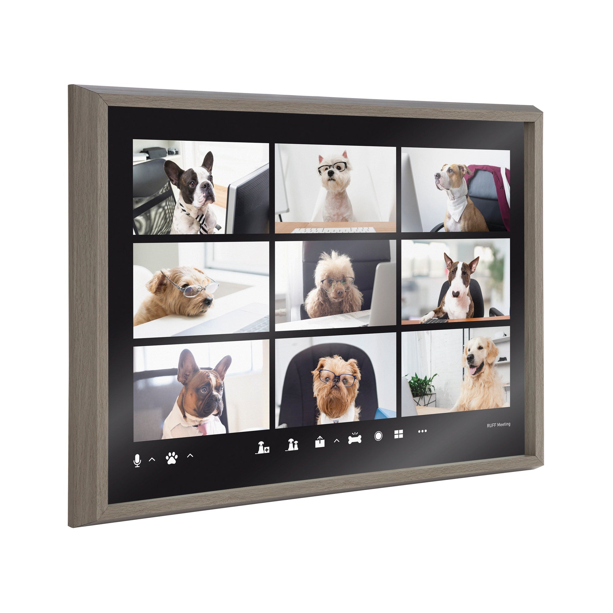 Blake Video Chat Dogs Framed Printed Glass by The Creative Bunch Studio by kateandlaurel - main product image for Resin Society