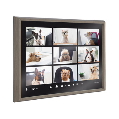 Blake Video Chat Dogs Framed Printed Glass by The Creative Bunch Studio by kateandlaurel - main product image for Resin Society