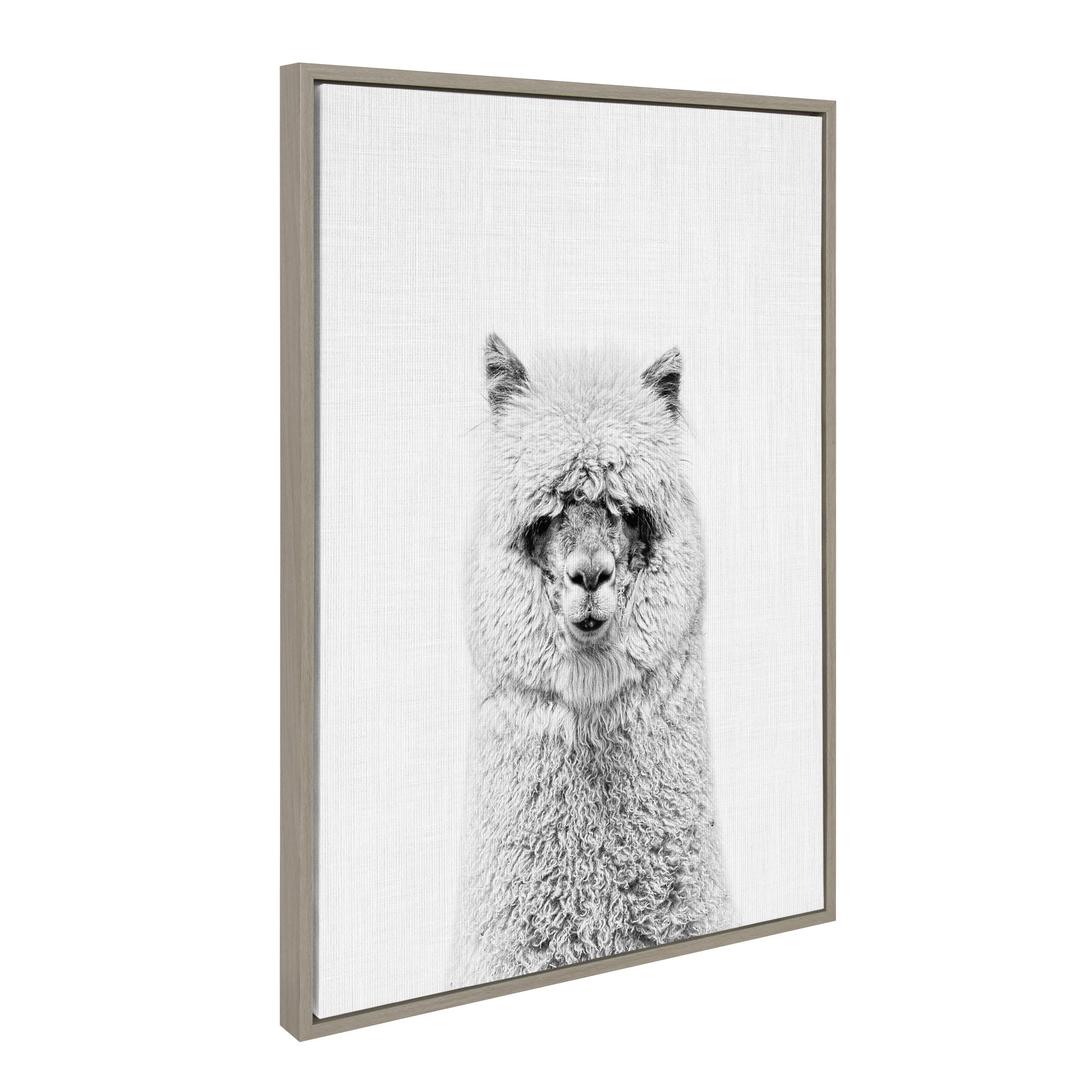 Sylvie Hairy Alpaca Framed Canvas by Simon Te of Tai Prints